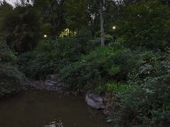 -龙头寺公园