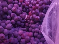 -双福水果批发市场