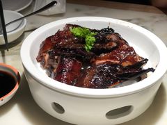 -佬肥猫(国华广场店)