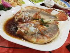 -普天和酒楼·新津菜·烤鸭(天津之眼店)