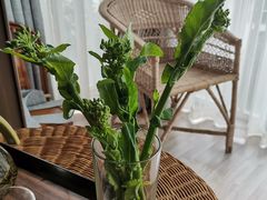 -西南交通大学(峨眉校区)