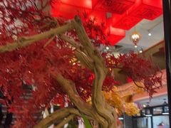 大堂-百年神厨·地道川菜(清江西路店)