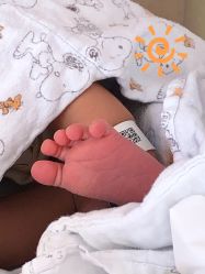 -复旦大学附属妇产科医院(杨浦院区)