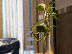 -百年朱苦拉咖啡(博物馆店)