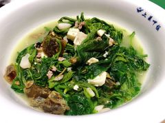 养生桑叶-上菜呷饭(唐家店)