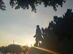 -莲花山公园