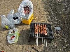 -春花秋色城市公园