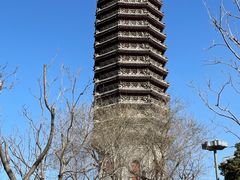 -西海子公园