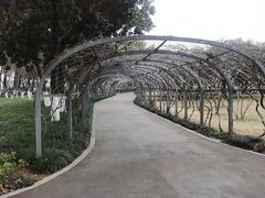 -汉水公园
