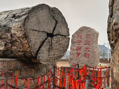 -北京凤凰岭
