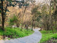 -紫金山山顶公园