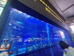 -成都浩海立方海洋公园