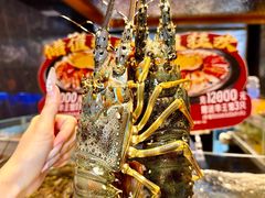 -青蓬蒸汽海鲜·深圳老字号·团建聚会(壹方城店)