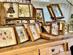 -知物癖(牛王庙店)