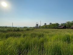 -永定河休闲森林公园