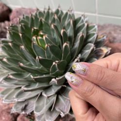-LILY NAILS美甲美睫