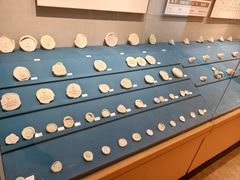 -迪庆藏族自治州博物馆