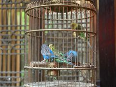 -鱼桥巷·美学川菜