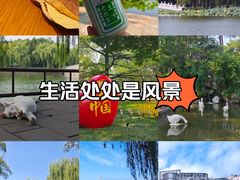 -陶然亭公园