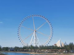 -阅海欢乐岛