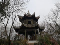 -上海市保健医疗中心