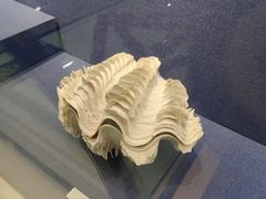 -大连自然博物馆