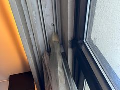 -广州花园酒店