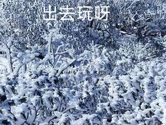 -苍山感通索道