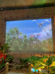 -恐龙探索乐园(磁器口店)