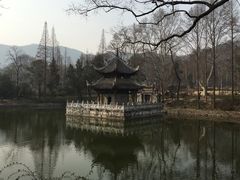 -习家池