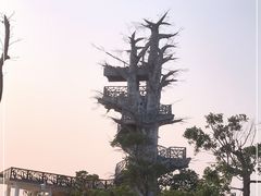 -芒洲湿地公园