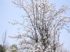 -中国天府农业博览园