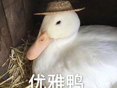 -1点点(温州府前店)