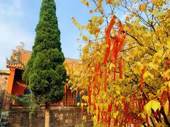 -金堂县云顶石城风景区