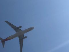 -空港花田景区
