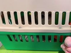 -守诺宠物医院·眼科· 特色牙科·异宠专科(虹口店)