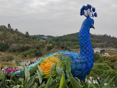 -东莞植物园
