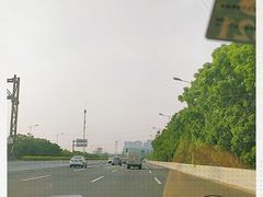 -东湖落雁景区