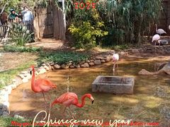 -昆明动物园