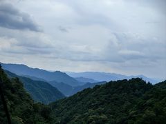 -王顺山国家森林公园