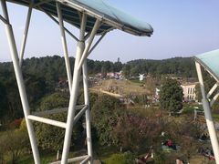 -铁山坪森林公园