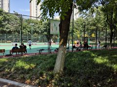 -后襄河公园