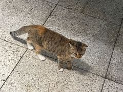 -谷咖啡·鲜花绿植花园餐厅