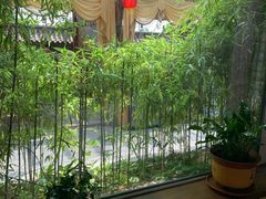 -慢丽江·云南野生菌土鸡锅(付家庄店)