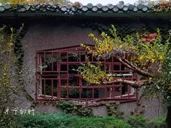 -房湖公园