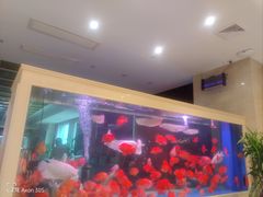 -骏莱海鲜鱼港(五角场店)