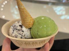 -极拉图·现制冰淇淋(梅溪湖新天地步步高店)