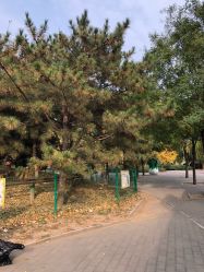 -大望京儿童游乐场