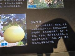 -台州博物馆