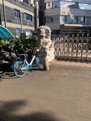 -欧扬医疗美容
